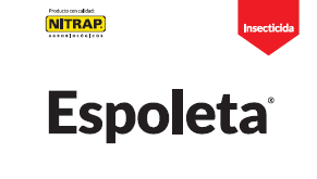 Espoleta