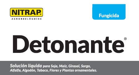 Detonante